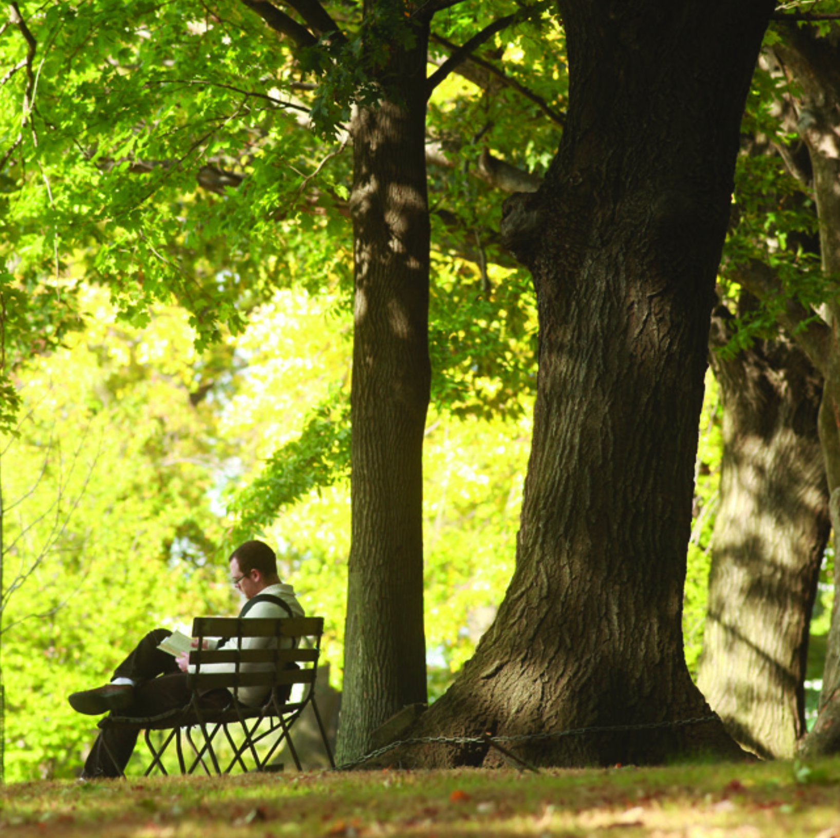 Public park in Oakland